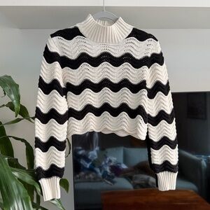 Zara Cropped Knit Mockneck Sweater